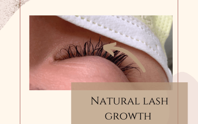LASH CYCLE | EVERYTHING YOU NEED TO KNOW